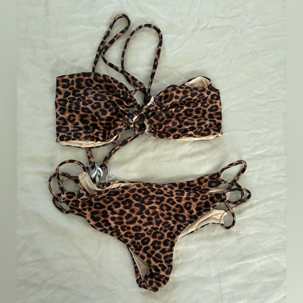 Acacia bikini